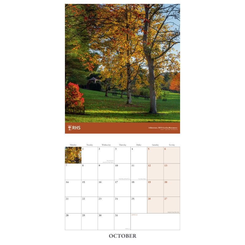 2024 Rhs Wall Calendar Env Waterstones