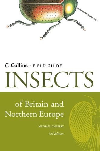 Insects of Britain and Northern Europe - Collins Field Guide (Hardback)