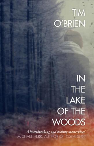 Book cover of In the Lake of the Woods