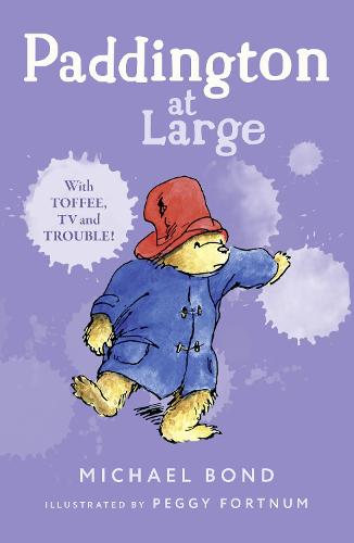 Paddington At Large (Paperback)