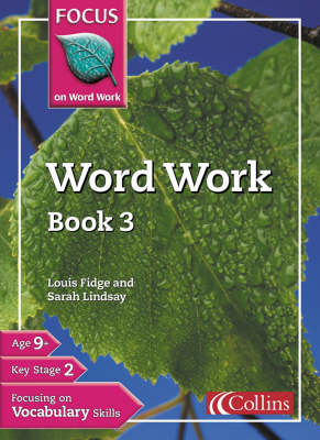 Word Work Book 3 - Focus on Word Work S. (Paperback)