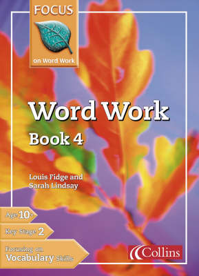 Word Work: Bk. 4 - Focus on Word Work S. (Paperback)