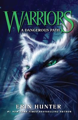 Cover of the book A Dangerous Path