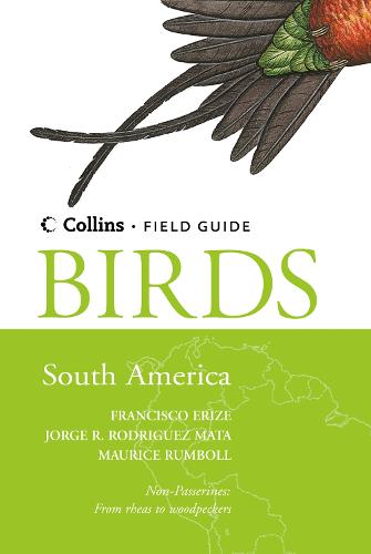 Birds of South America: Non-Passerines - Collins Field Guide (Hardback)