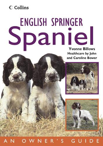 English Springer Spaniel - Collins Dog Owner's Guide (Paperback)