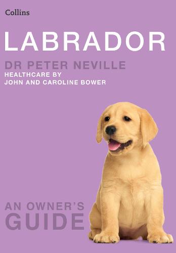 Labrador - Collins Dog Owner's Guide (Paperback)