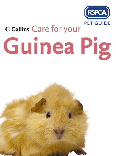 Rspca guinea clearance pig diet