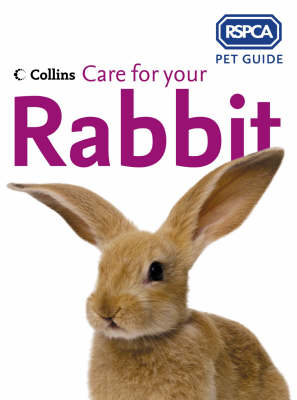 RSPCA: Care For Your Rabbit (Paperback)