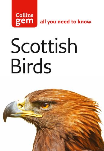 Scottish Birds - Collins Gem (Paperback)