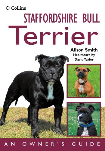 Staffordshire Bull Terrier: An Owner's Guide (Paperback)