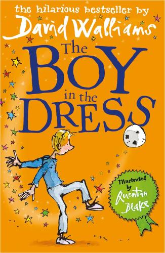 The Boy in the Dress (Paperback)
