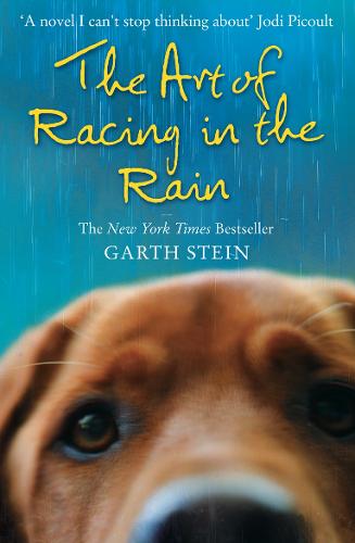 the art of racing in the rain book