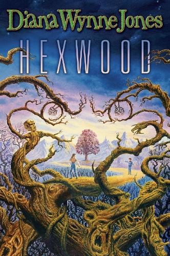 Hexwood (Paperback)