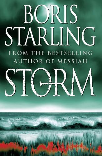 Storm (Paperback)