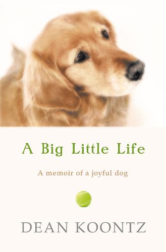 A Big Little Life (Paperback)