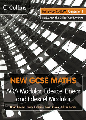 Homework VLE Foundation 1 - New GCSE Maths (CD-ROM)