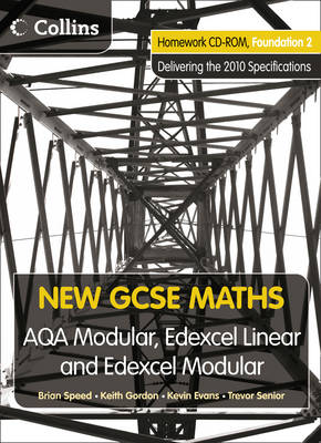 Homework VLE Foundation 2 - New GCSE Maths (CD-ROM)