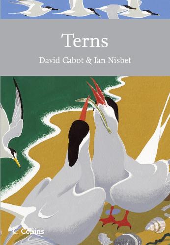 Terns - Collins New Naturalist Library Book 123 (Paperback)