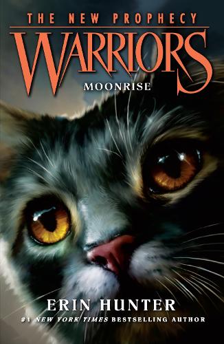 Warrior Cats - Die neue Prophezeiung. Mondschein alternative edition book cover