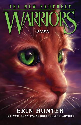 Morgenröte / Warrior Cats 2 Band 3 alternative edition book cover