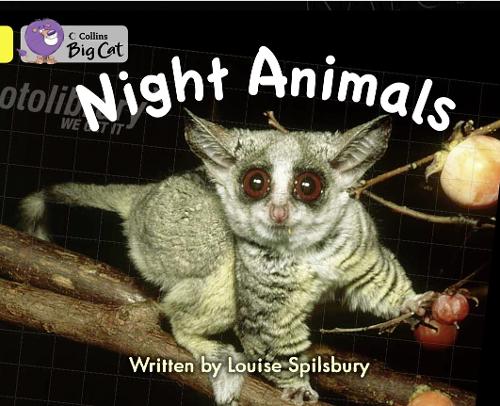 Night Animals Workbook - Collins Big Cat (Paperback)
