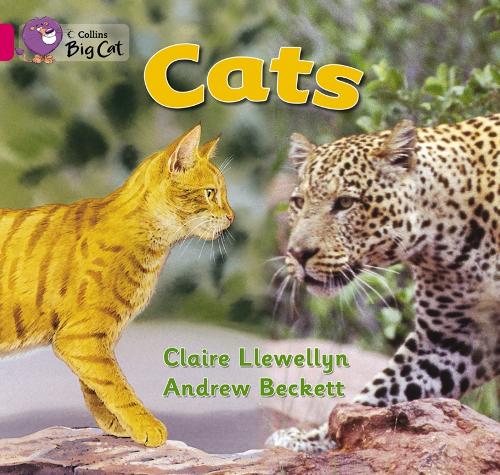 Cats Workbook - Collins Big Cat (Paperback)