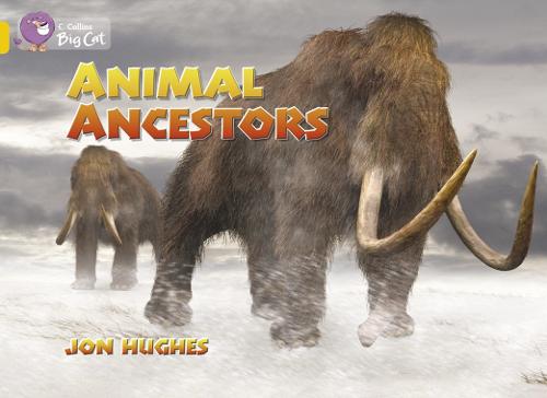 Animal Ancestors Workbook - Collins Big Cat (Paperback)