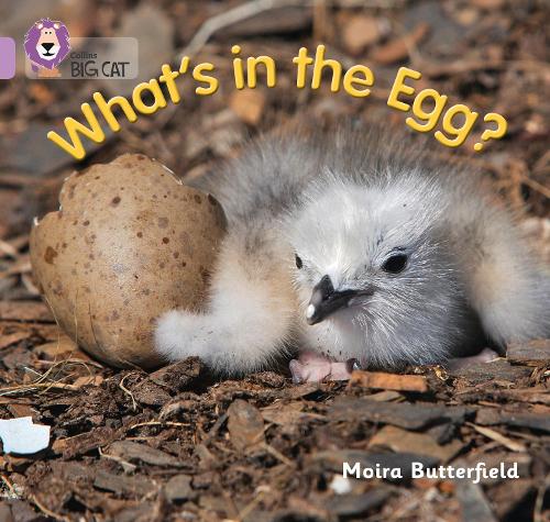 What's in the Egg?: Band 00/Lilac - Collins Big Cat (Paperback)