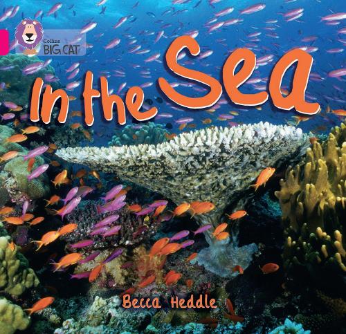 In the Sea: Band 01b/Pink B - Collins Big Cat (Paperback)