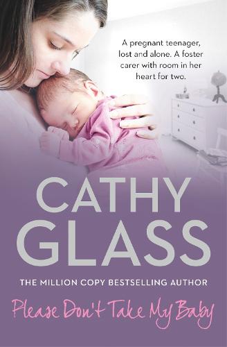 Please Don't Take My Baby (Paperback)