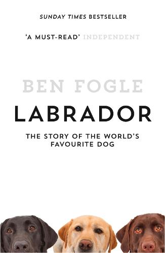 Labrador: The Story of the World's Favourite Dog (Paperback)