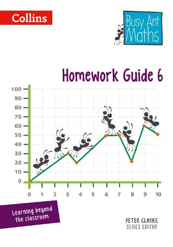 Homework Guide 6 - Busy Ant Maths (Spiral bound)