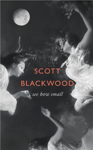 See How Small (Hardback)