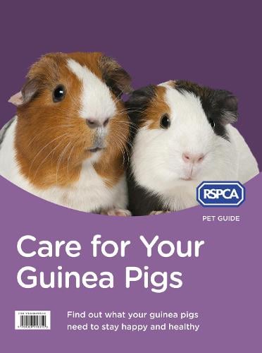 Care for Your Guinea Pigs - RSPCA Pet Guide (Paperback)