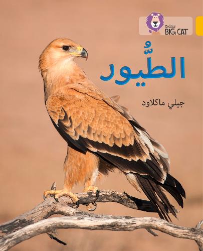 Birds: Level 9 - Collins Big Cat Arabic Reading Programme (Paperback)