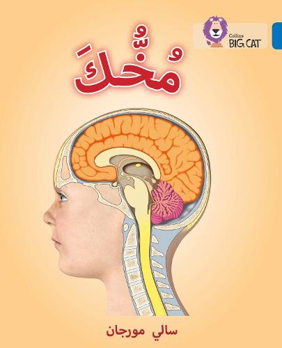 Your Brain: Level 16 - Collins Big Cat Arabic Reading Programme (Paperback)