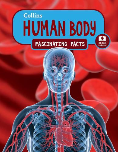 Human Body - Collins Fascinating Facts (Paperback)