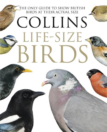 Collins Life-Size Birds