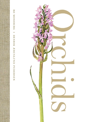 Orchids (Hardback)