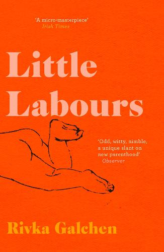 Little Labours (Paperback)