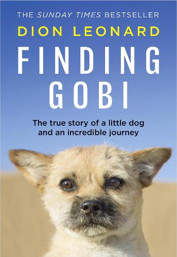Finding Gobi (Main edition): The True Story of a Little Dog and an Incredible Journey (Hardback)