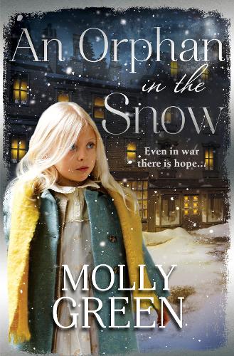 An Orphan in the Snow (Paperback)