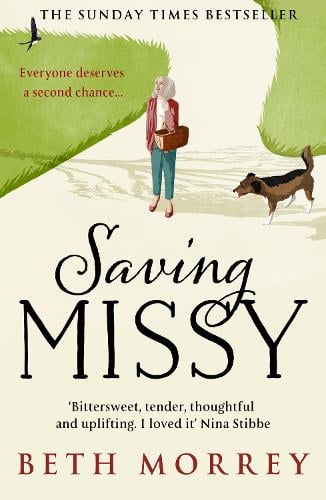 Saving Missy (Paperback)