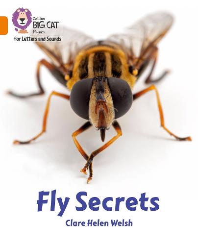 Fly Secrets: Band 06/Orange - Collins Big Cat Phonics for Letters and Sounds (Paperback)