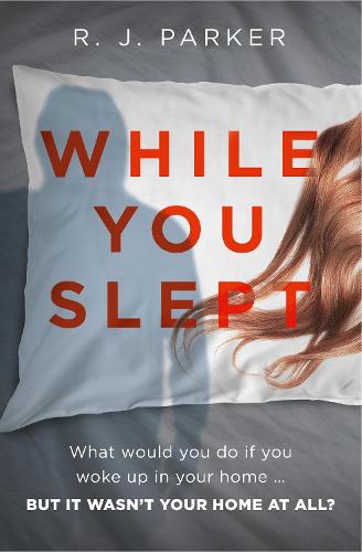 While You Slept (Paperback)