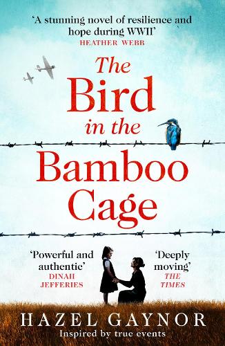 The Bird in the Bamboo Cage (Paperback)