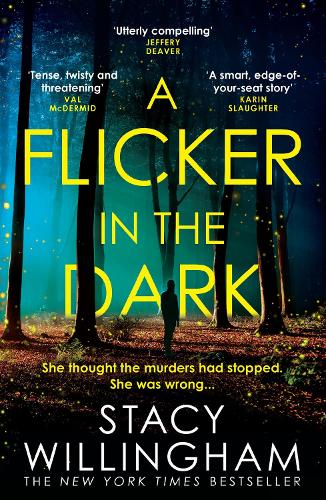 A Flicker in the Dark (Paperback)