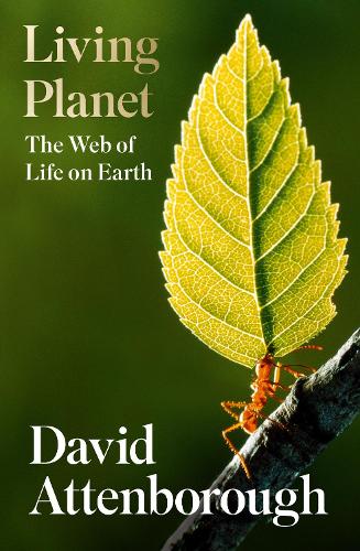 Living Planet: The Web of Life on Earth (Hardback)