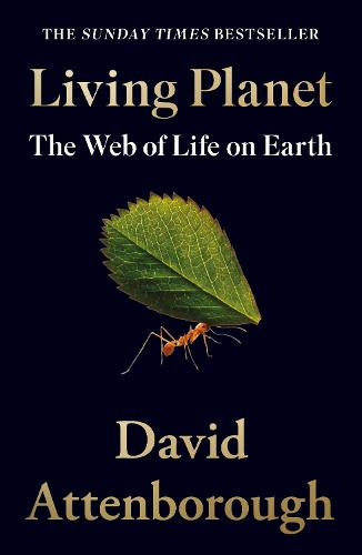 Living Planet: The Web of Life on Earth (Paperback)