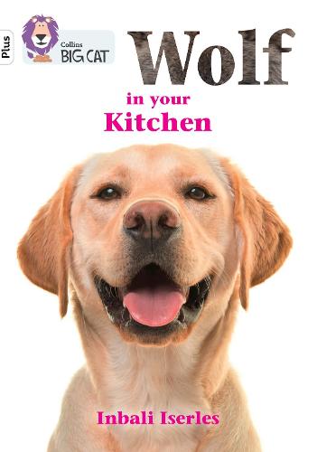 Wolf in your kitchen: Band 10+/White Plus - Collins Big Cat (Paperback)